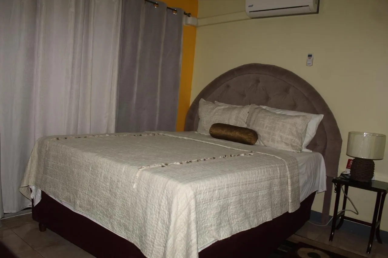 Comfy, Central & Elegant Studio New Кингстон