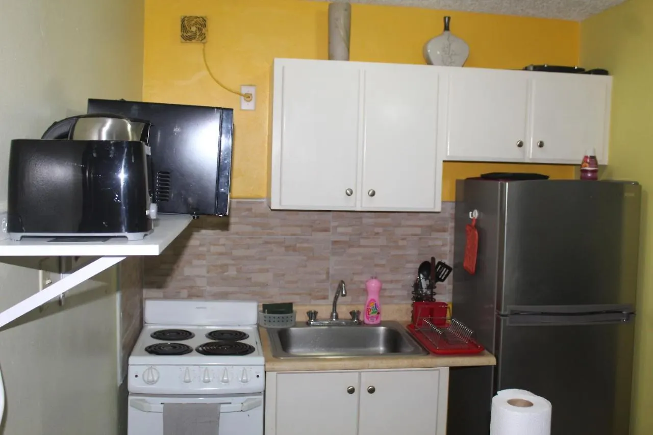 Comfy, Central & Elegant Studio New Кингстон 0*,