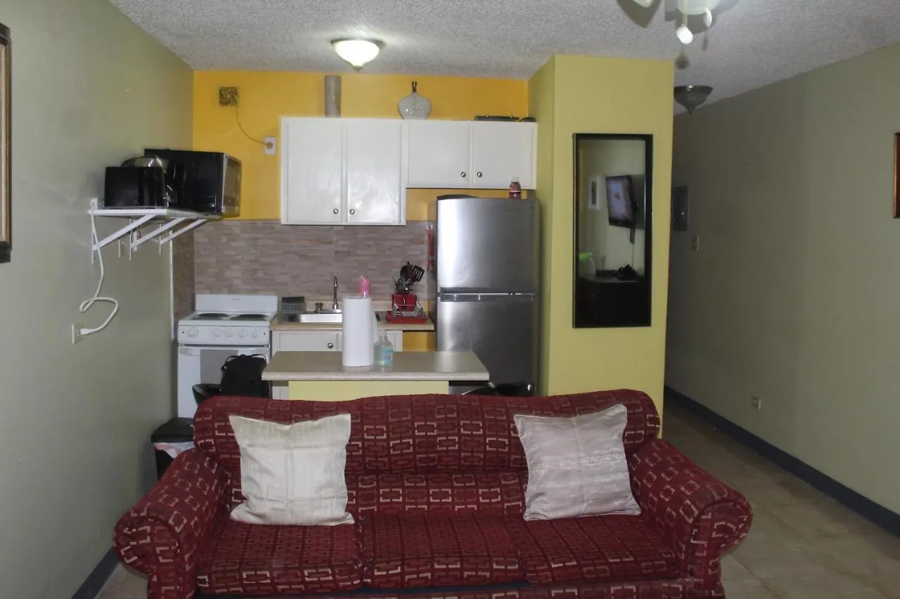 Comfy, Central & Elegant Studio New Kingston Apartment