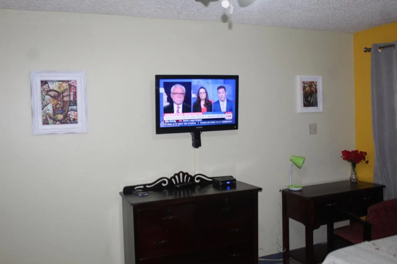 Apartment Comfy, Central & Elegant Studio New Kingston Jamaica
