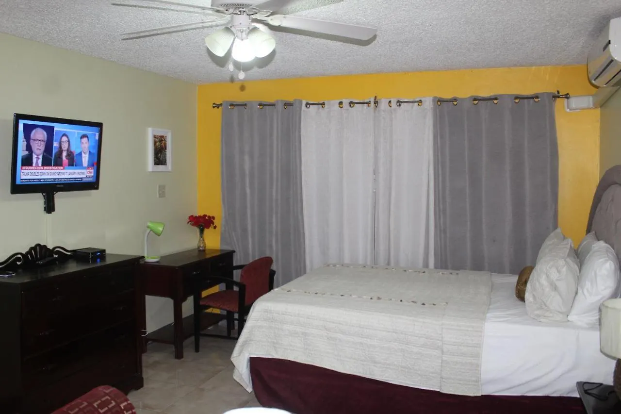 Comfy, Central & Elegant Studio New Kingston